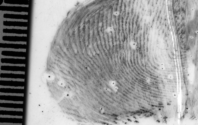 Latent Print Comparison