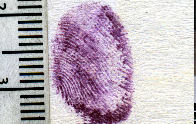 Latent Print Processing